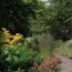 2012 Kilmurry Garden 2