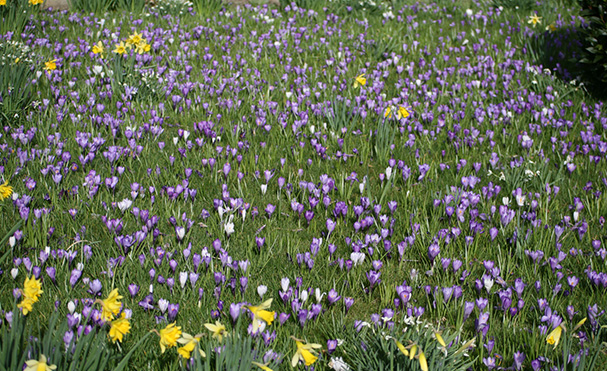 Coolaught Gardens And Garden Centre