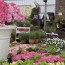 Garden-square-large