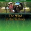 The Wind in the Willows, Kilmokee