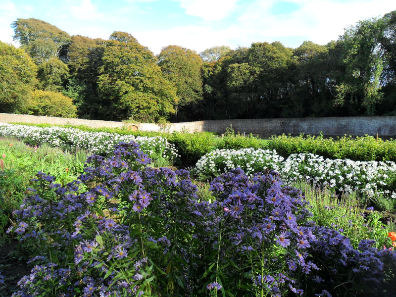 Colclough Walled Garden Tintern Abbey Wexford Garden Trail