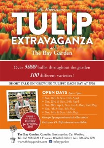 The Bay Garden Tulip Extravaganza (Facebook)