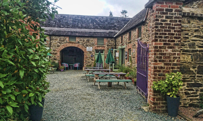 Wexford Lavender Farm